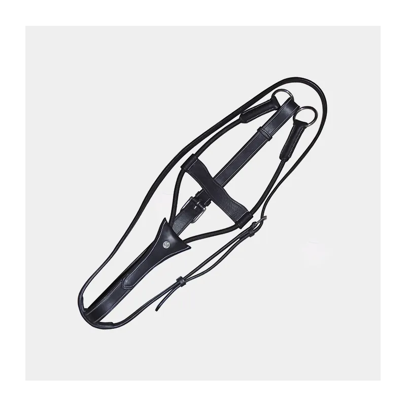 CANTER - Martingale élastique