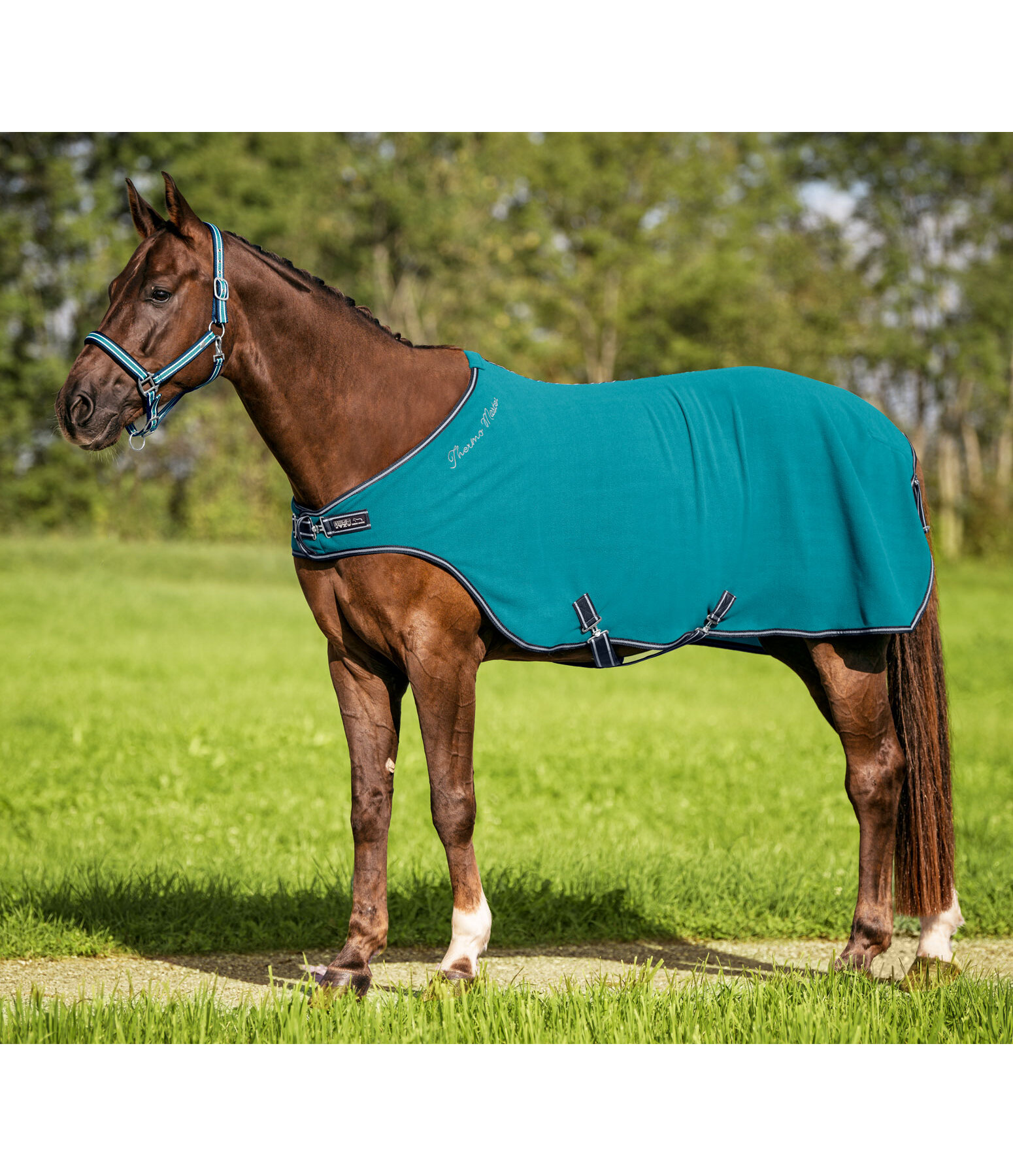Chemise de marcheur en polaire  Activity