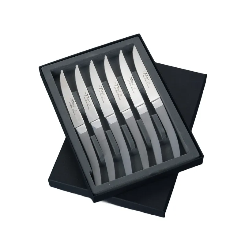 Coffret 6 couteaux Thiers bi