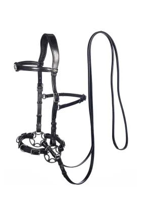 F.R.A Freedom Riding Articles F.R.A Caval Compl. Cavemore Bridle English Leather (Syst.2) Shire