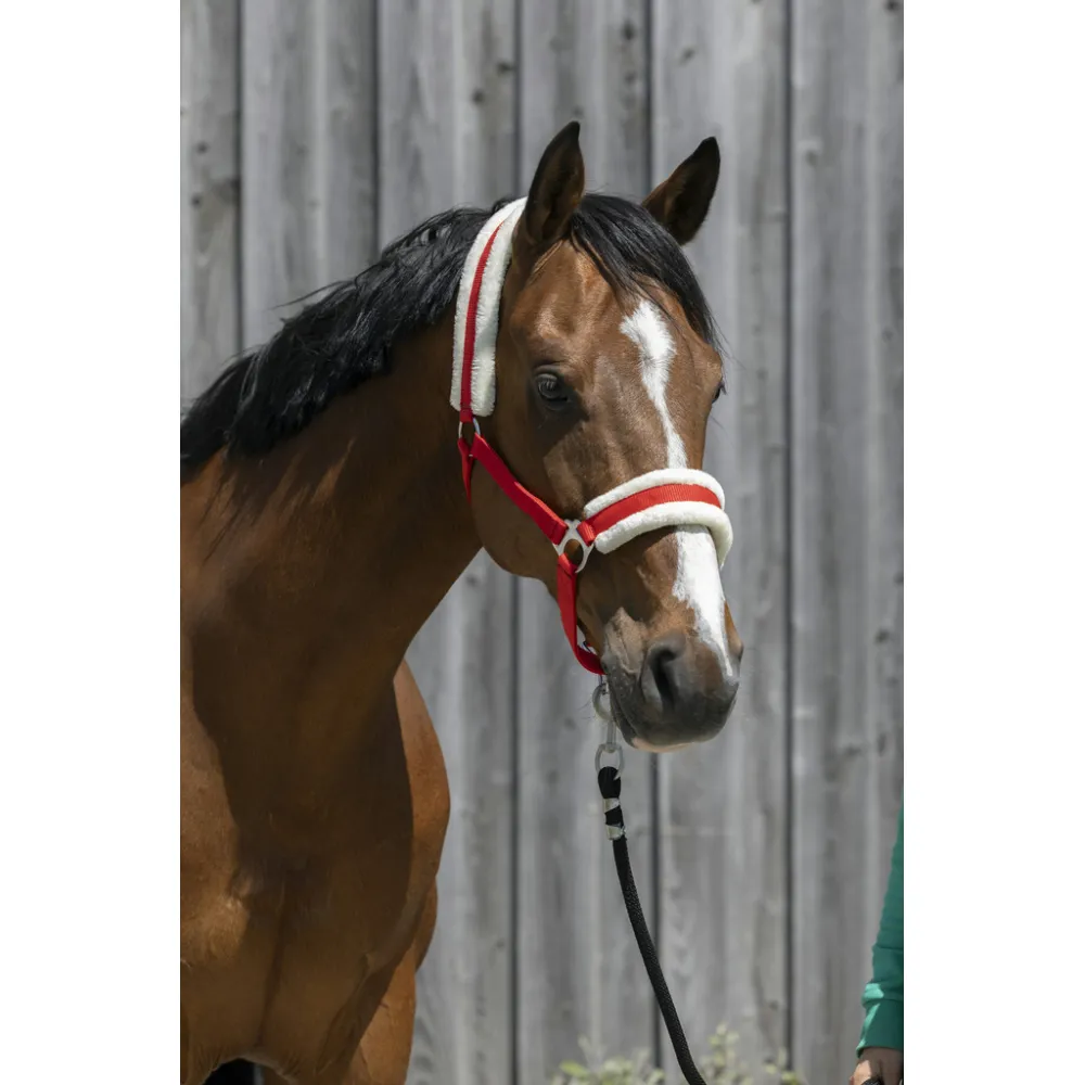 Licol Riding World mouton synthétique - PADD - LICOLS SYNTHÉTIQUES - PADD