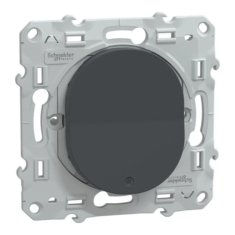 Ovalis - poussoir à fermeture lumineux - 10AX - LED bleu 250V - Anthracite (S340276)